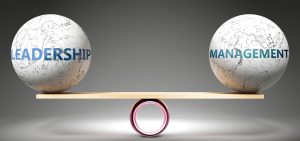 Read more about the article Leadership and Management